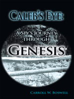 Caleb's Eye: a Spy's Journey Through Genesis