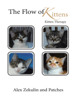 The Flow of Kittens: Kitten Therapy