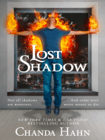 Lost Shadow