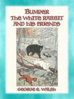 BUMPER THE WHITE RABBIT AND FRIENDS - 16 illustrated stories of Bumper and his Friends