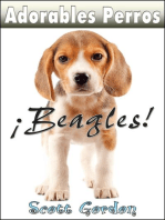 Adorables Perros: Los Beagles: Adorables Perros