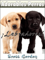 Adorables Perros: Los Labradores: Adorables Perros