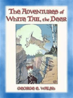 THE ADVENTURES OF WHITE TAIL THE DEER - with Bumper the Rabbit and Friends