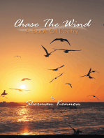 Chase the Wind