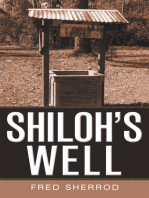 Shiloh's Well