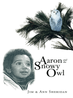 Aaron and the Snowy Owl