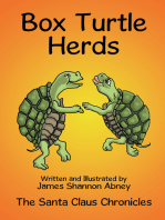 Box Turtle Herds: The Santa Claus Chronicles