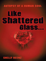Like Shattered Glass...: Autopsy of a Human Soul