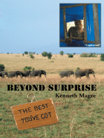 Beyond Surprise