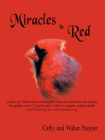 Miracles in Red