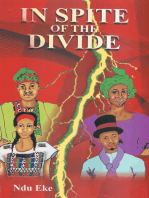 In Spite of the Divide