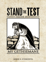 Stand the Test: Isaiah 48:10