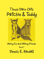 Those Darn Cats, Patchie and Teddy: Having Fun and Making Friends
