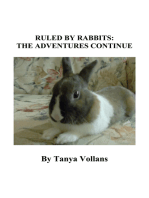 Ruled By Rabbits: The Adventures Continue