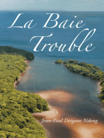 La Baie Trouble