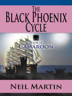 The Black Phoenix Cycle