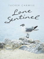 Lone Sentinel
