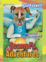 Scampi’S Adventures