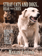 Stray Cats and Dogs…Hear Their Cries: Rescue ,Tips and Tales