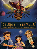 Secrets of Zynpagua: Return of the Princess