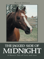 The Jagged Side of Midnight: A Horse’S Tale of Love and Loss