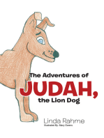 The Adventures of Judah, the Lion Dog