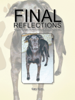 Final Reflections