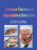 Criaturas Fascinantes: Mono Tarsero Y Ornitorrinco