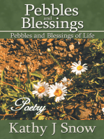 Pebbles and Blessings: Pebbles and Blessings of Life