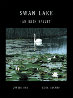 Swan Lake: An Irish Ballet