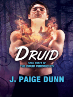 Druid: Book Three of the Druid Chronicles