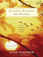 Flights Against the Sunset