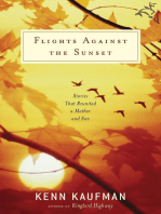 Flights Against the Sunset: Stories that Reunited a Mother and Son