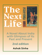 The Next Life: A Novel About India with Glimpses of Its Past and Present 2Nd Edition