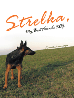 Strelka, My Best Friend’S Dog