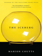 The Iceberg