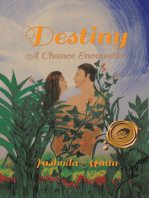 Destiny: A Chance Encounter