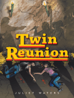 Twin Reunion