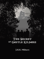 The Secret of Castle Kildare: None