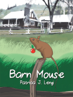 Barn Mouse