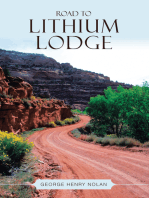 Road to Lithium Lodge