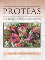 Proteas