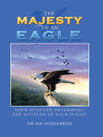 The Majesty of an Eagle