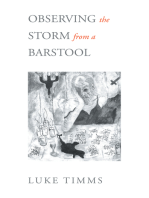 Observing the Storm from a Barstool