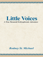Little Voices: A True Paranoid Schizophrenic Adventure