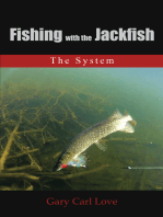 Fishing with the Jackfish: The System
