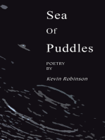 Sea of Puddles