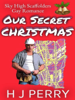 Our Secret Christmas: Sky High Scaffolders, #2
