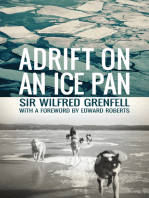 Adrift on an Ice Pan