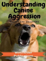 Understanding Canine Aggression